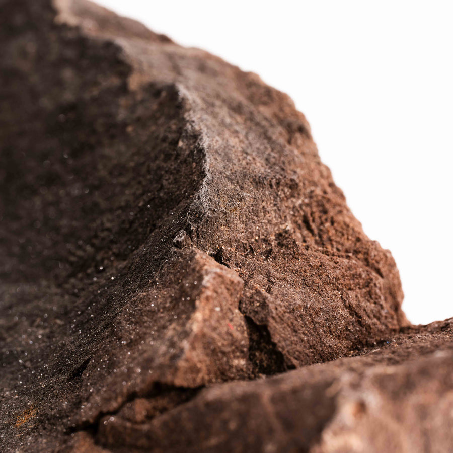 German Fairy Wood - Statement Piece