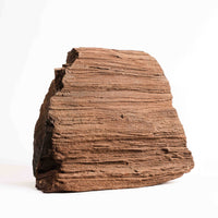 German Fairy Wood - Statement Piece