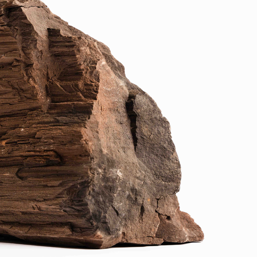 German Fairy Wood - Statement Piece