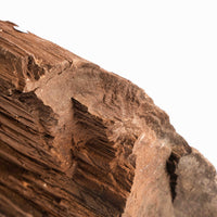 German Fairy Wood - Statement Piece