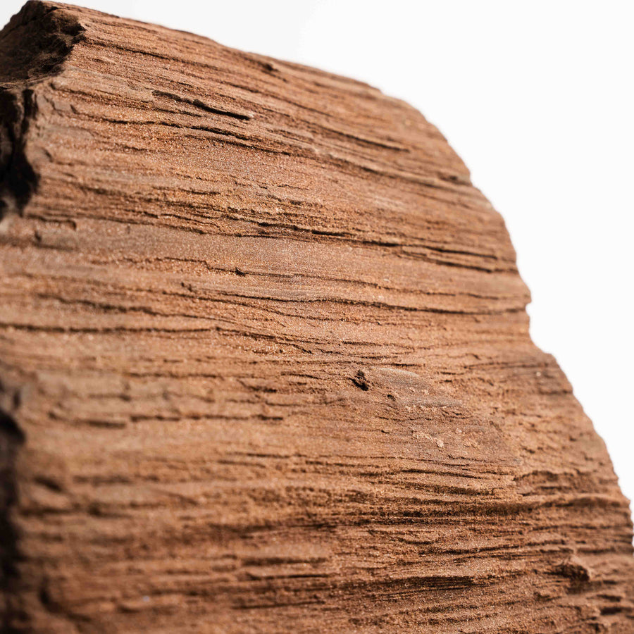 German Fairy Wood - Statement Piece