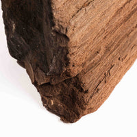 German Fairy Wood - Statement Piece