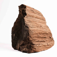 German Fairy Wood - Statement Piece