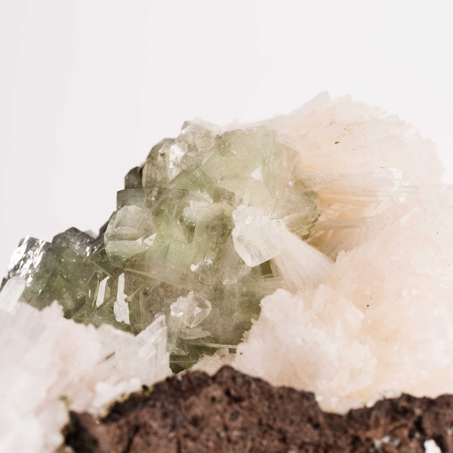Apophyllite, Green - Statement Piece