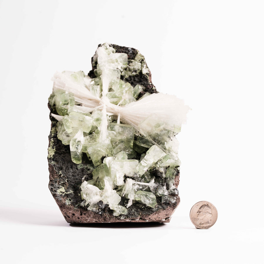 Apophyllite, Green - Statement Piece
