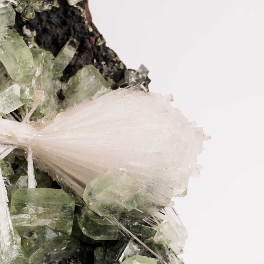 Apophyllite, Green - Statement Piece