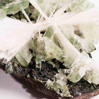 Apophyllite, Green - Statement Piece