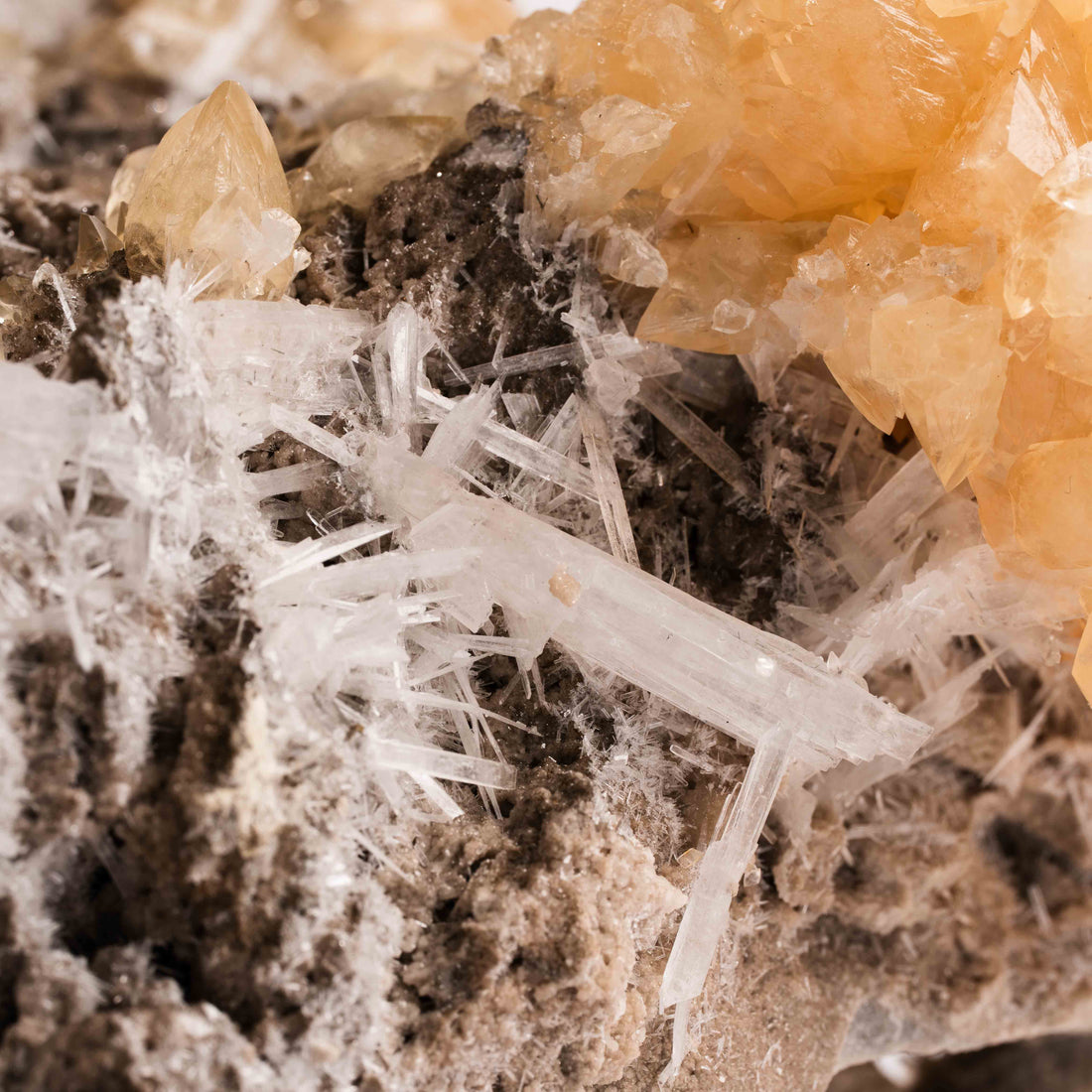 Celestite w/ Calcite - Statement Piece