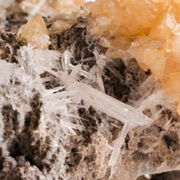 Celestite w/ Calcite - Statement Piece