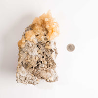 Celestite w/ Calcite - Statement Piece