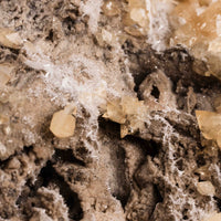 Celestite w/ Calcite - Statement Piece