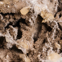 Celestite w/ Calcite - Statement Piece