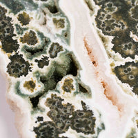 Ocean Jasper - Statement Piece