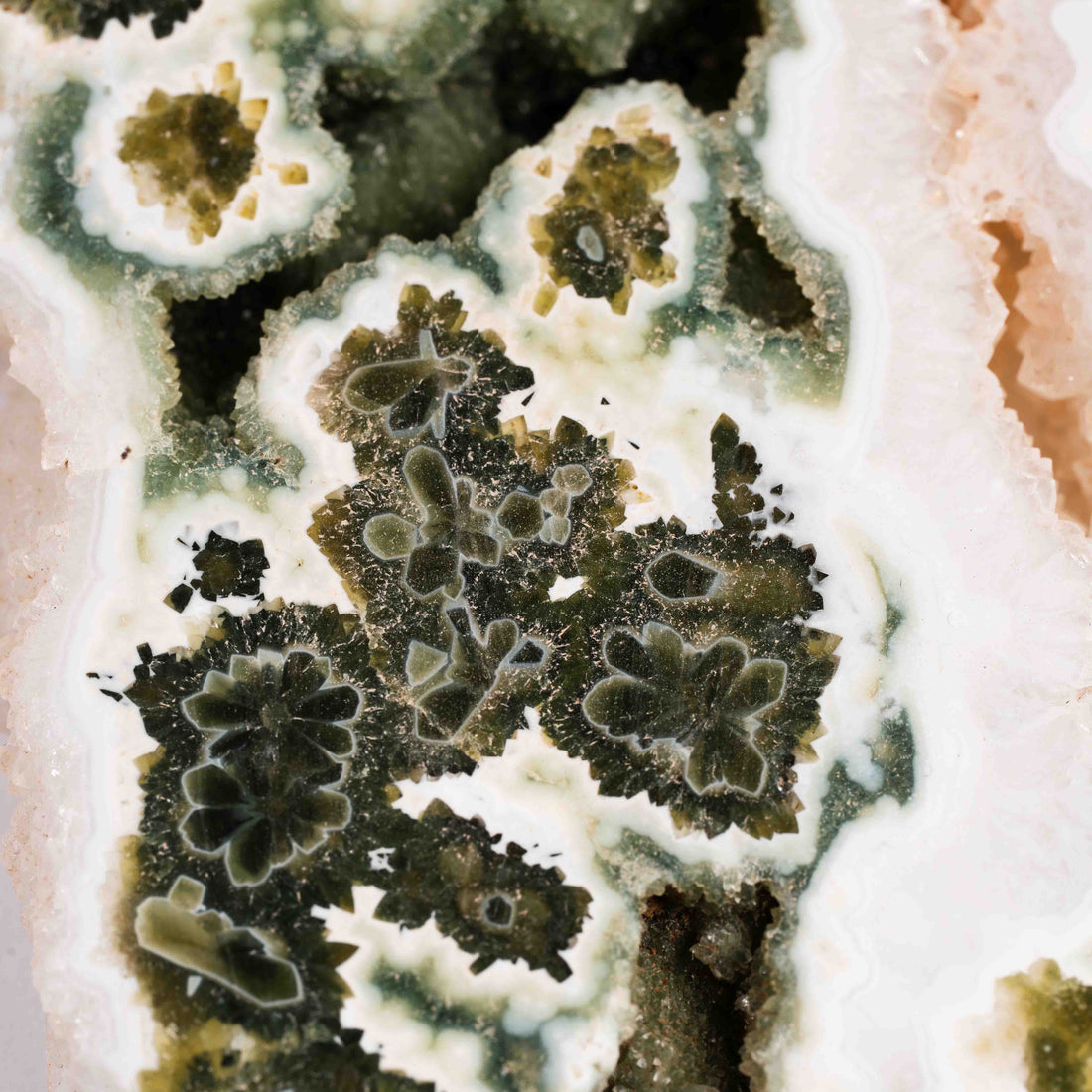 Ocean Jasper - Statement Piece