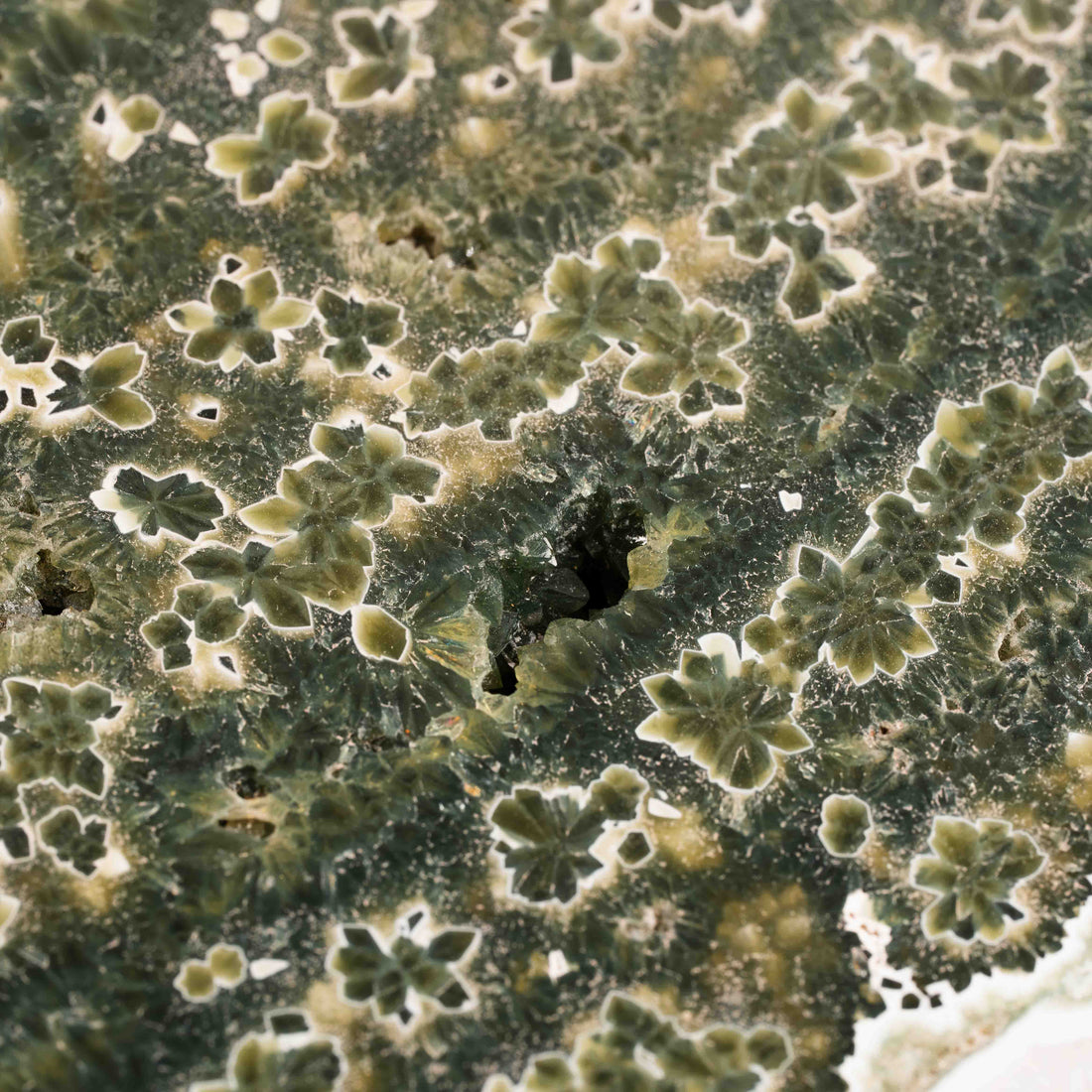 Ocean Jasper - Statement Piece