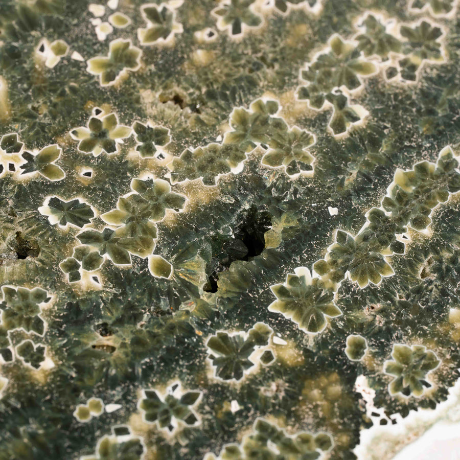 Ocean Jasper - Statement Piece