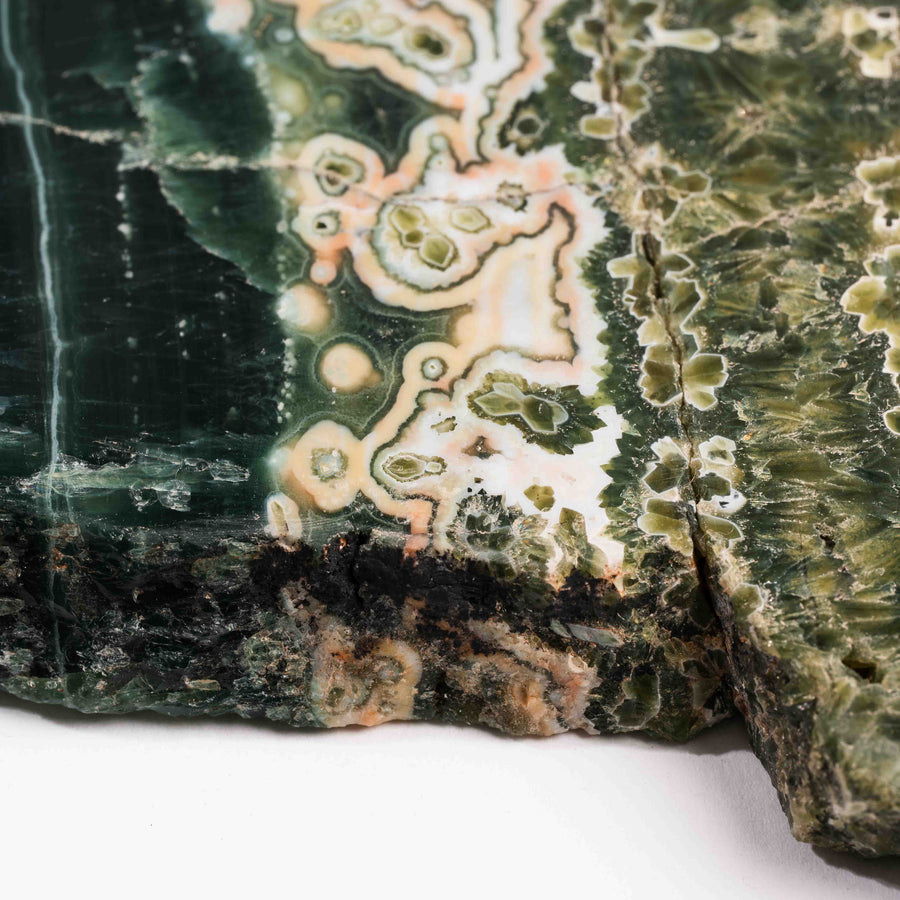 Ocean Jasper - Statement Piece