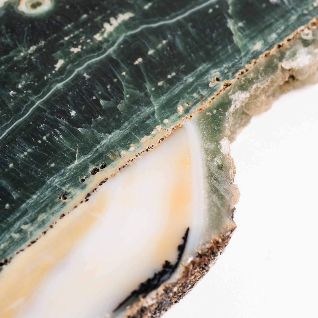 Ocean Jasper - Statement Piece