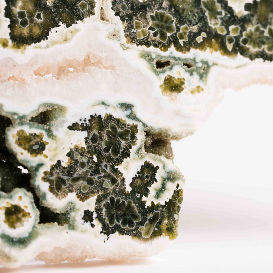 Ocean Jasper - Statement Piece