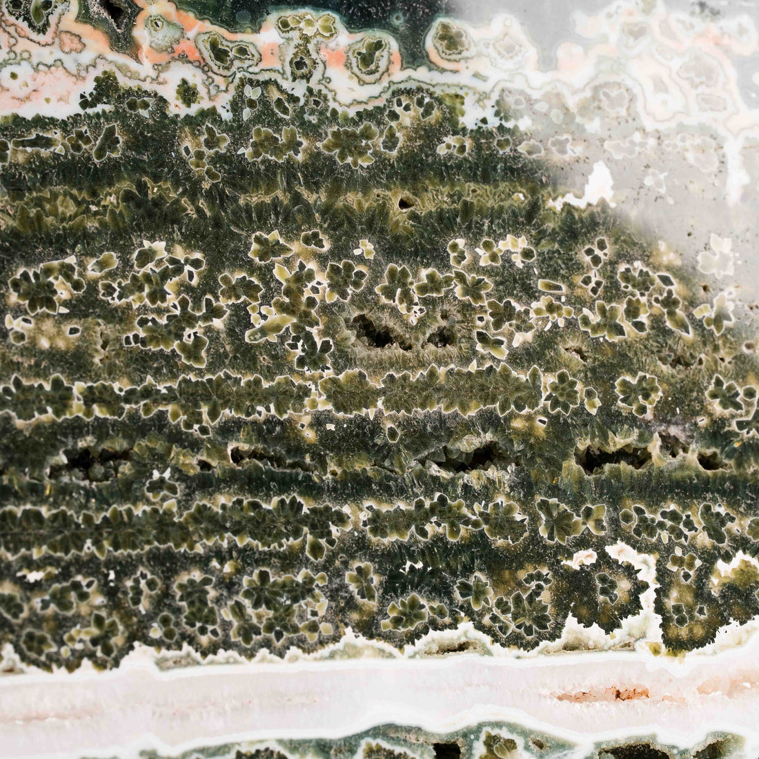 Ocean Jasper - Statement Piece