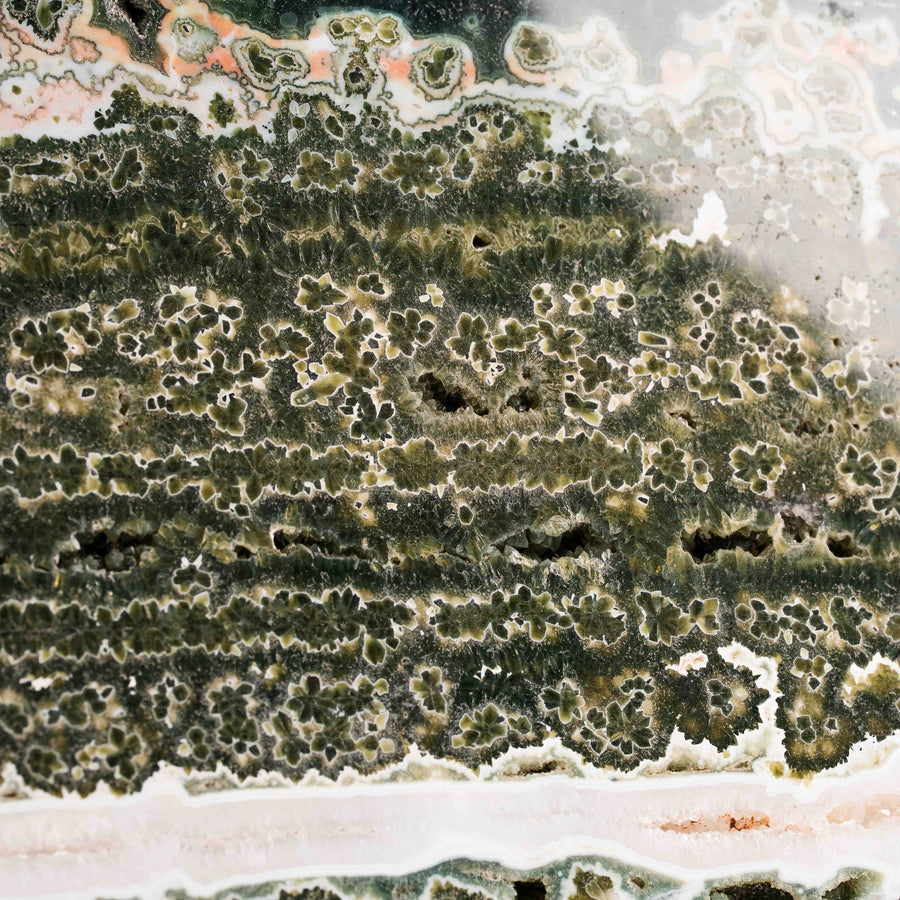 Ocean Jasper - Statement Piece