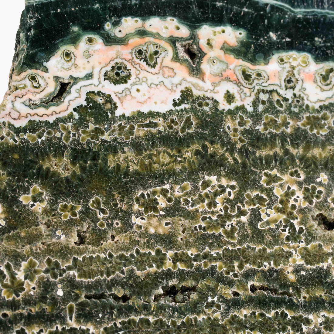 Ocean Jasper - Statement Piece