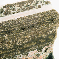 Ocean Jasper - Statement Piece