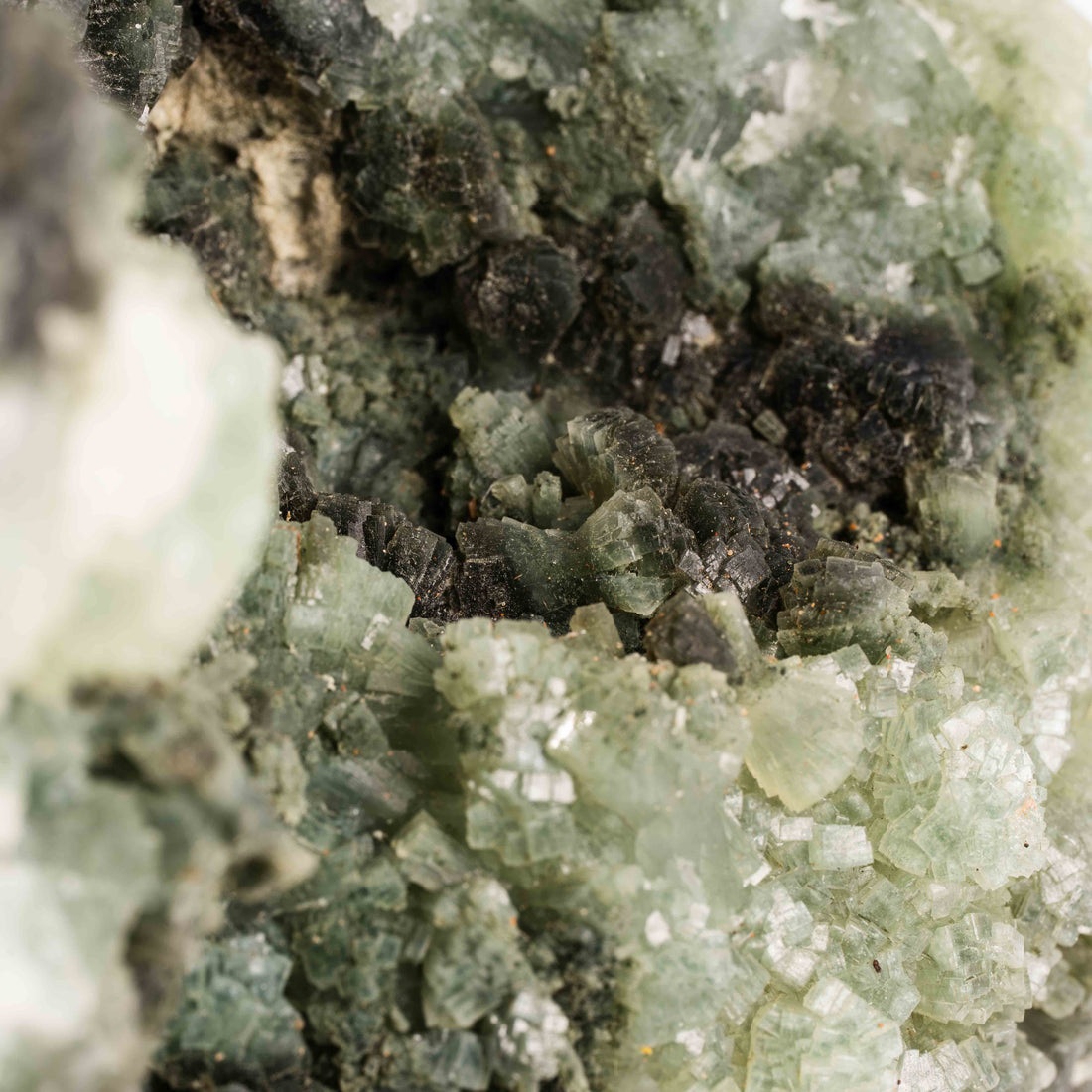 Prehnite with Epidote - Statement Piece