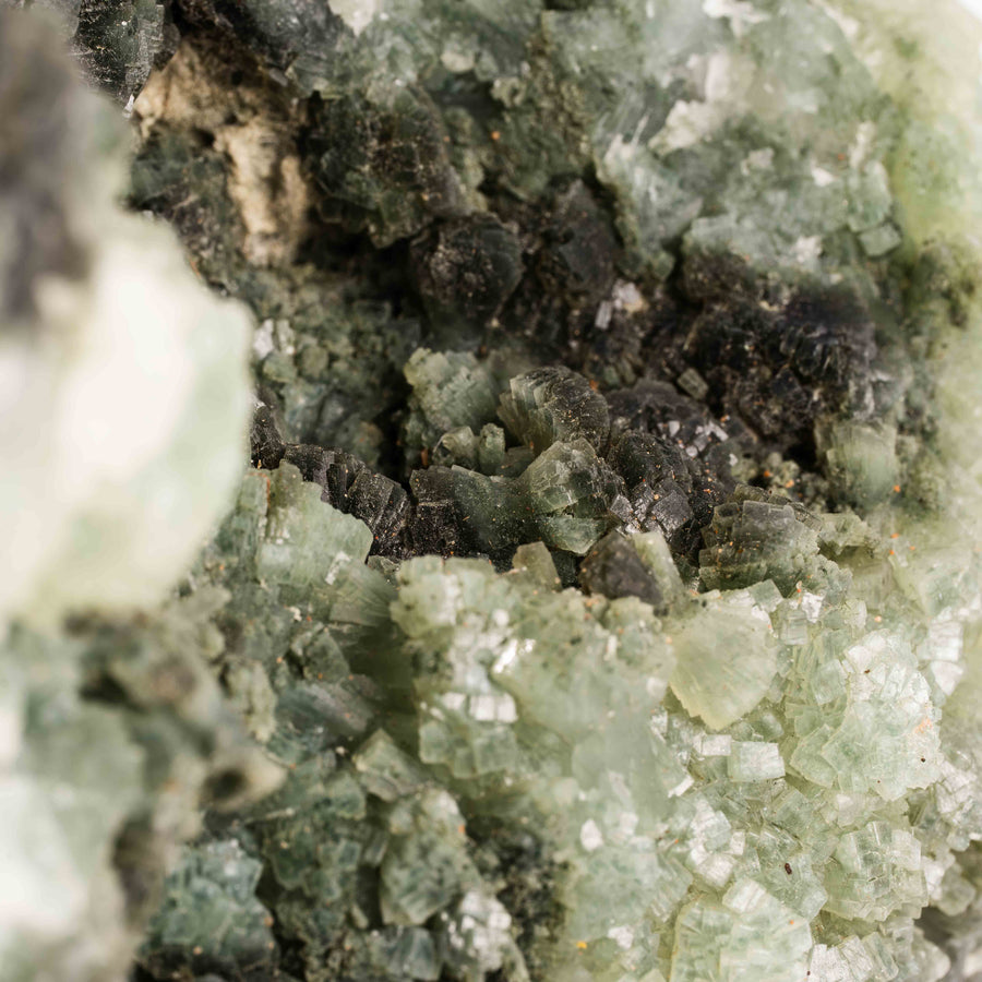 Prehnite with Epidote - Statement Piece