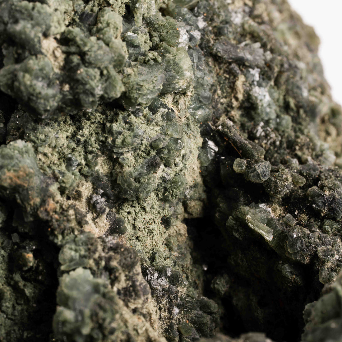 Prehnite with Epidote - Statement Piece