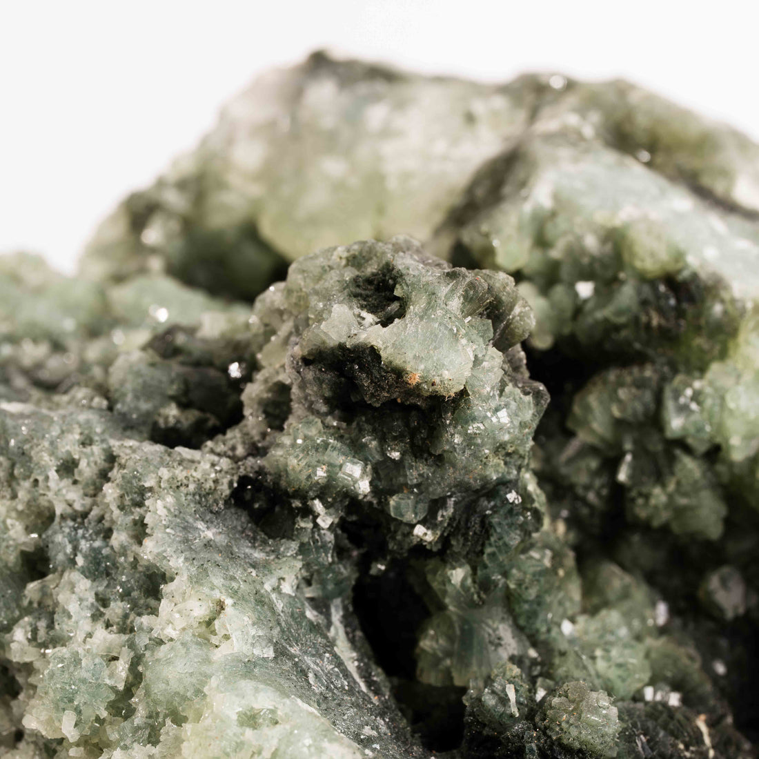 Prehnite with Epidote - Statement Piece
