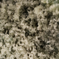 Prehnite with Epidote - Statement Piece