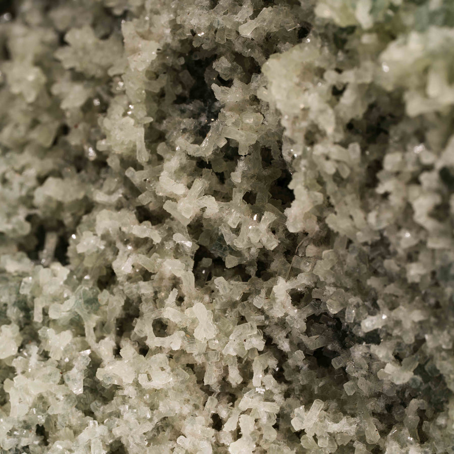 Prehnite with Epidote - Statement Piece