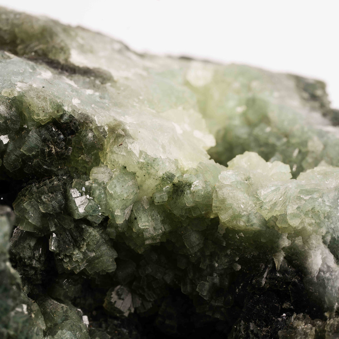 Prehnite with Epidote - Statement Piece