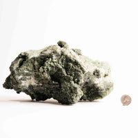 Prehnite with Epidote - Statement Piece