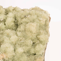 Prehnite with Epidote- Statement Piece