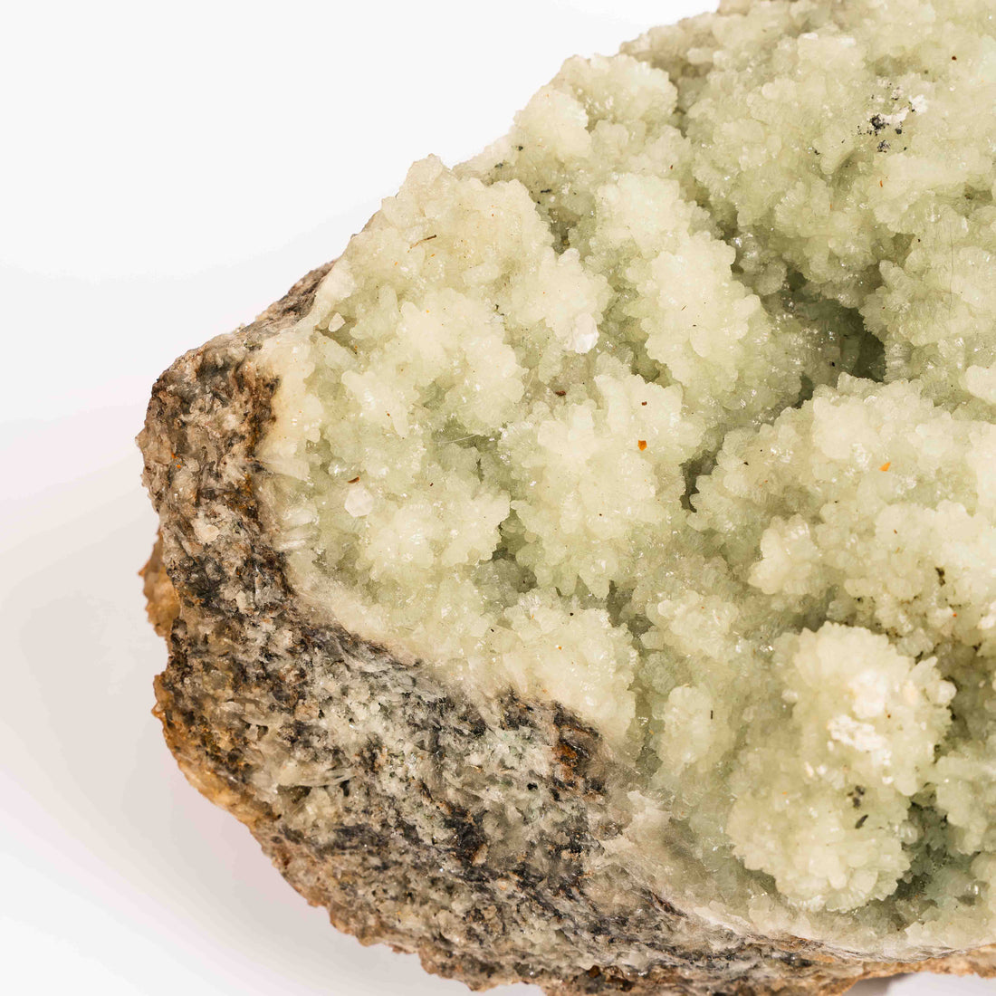 Prehnite with Epidote- Statement Piece