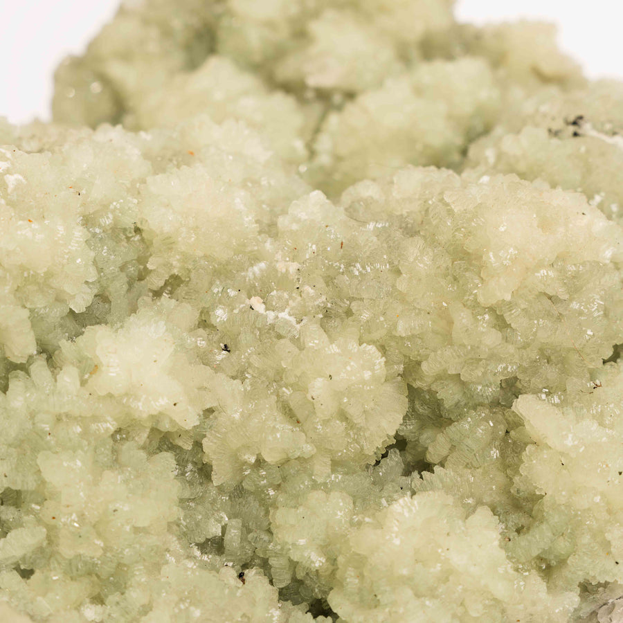 Prehnite with Epidote- Statement Piece