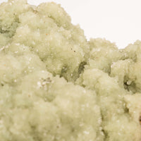 Prehnite with Epidote- Statement Piece