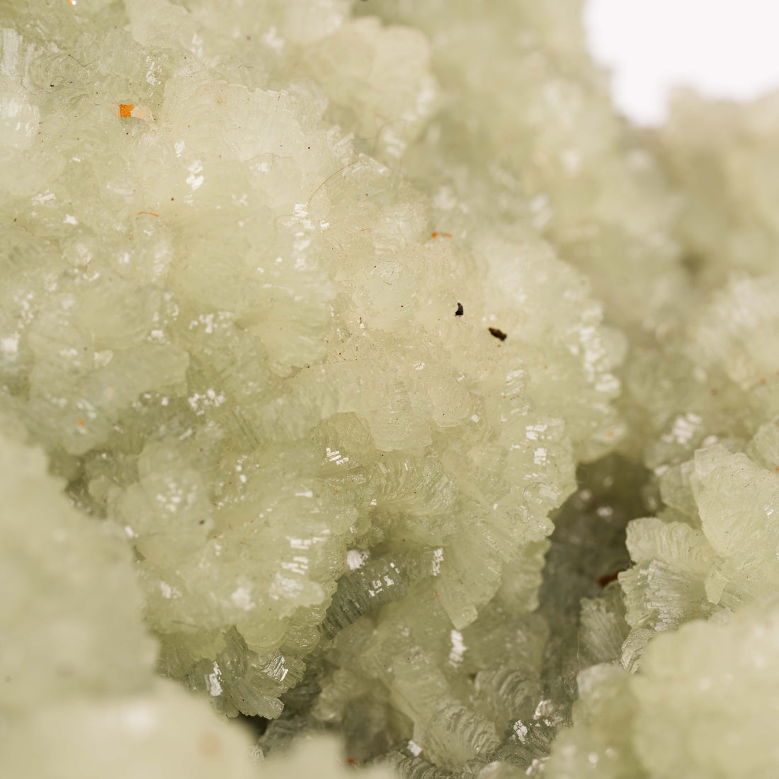 Prehnite with Epidote- Statement Piece