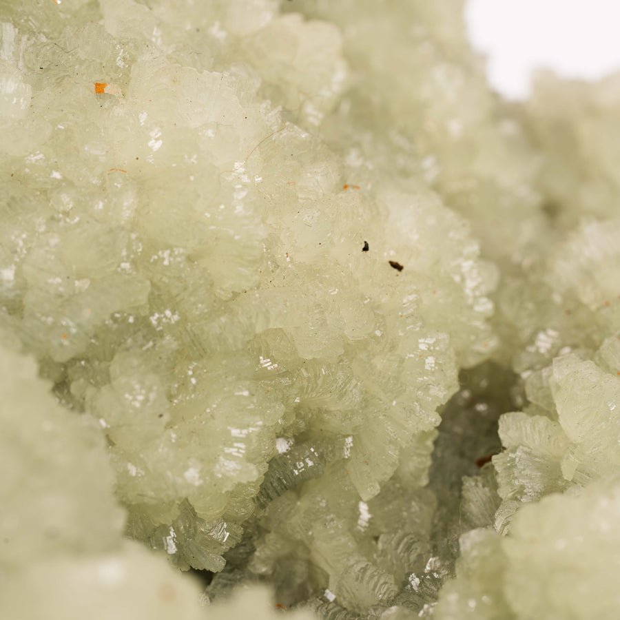 Prehnite with Epidote- Statement Piece