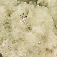 Prehnite with Epidote- Statement Piece