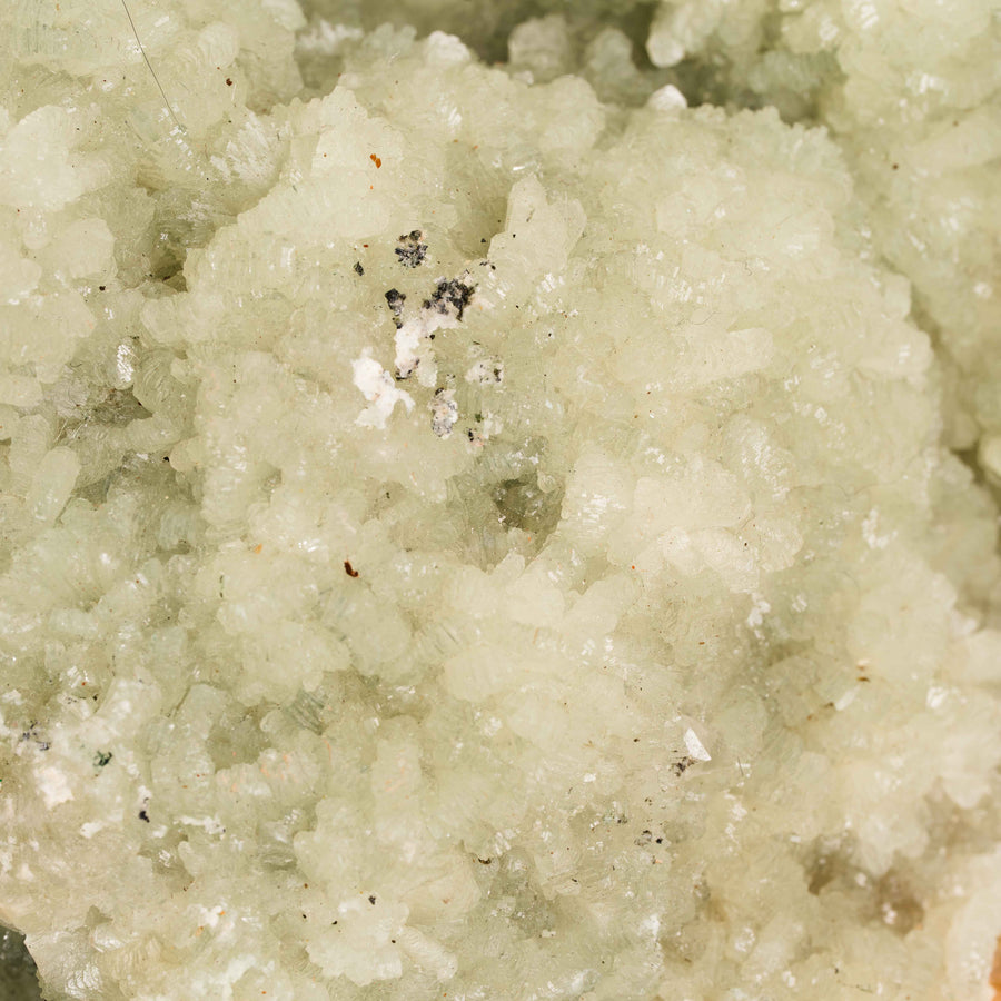 Prehnite with Epidote- Statement Piece