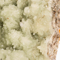 Prehnite with Epidote- Statement Piece