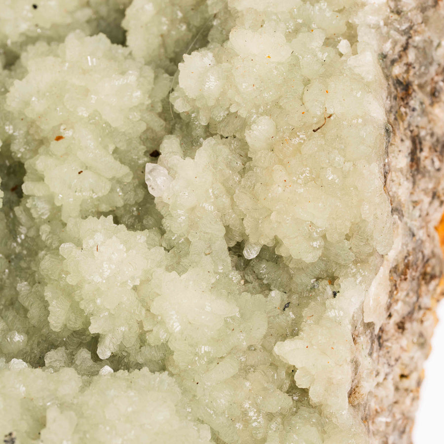 Prehnite with Epidote- Statement Piece