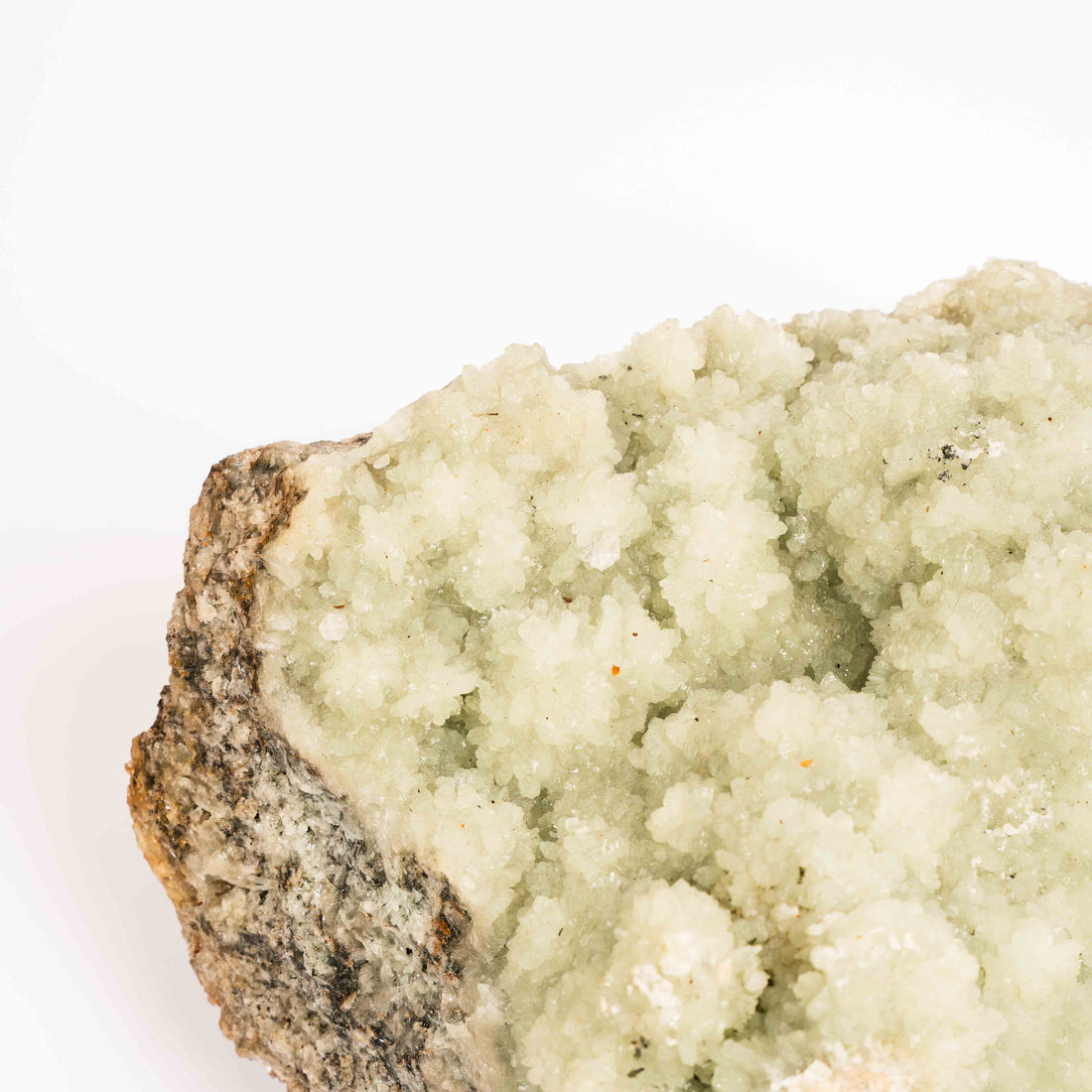 Prehnite with Epidote- Statement Piece