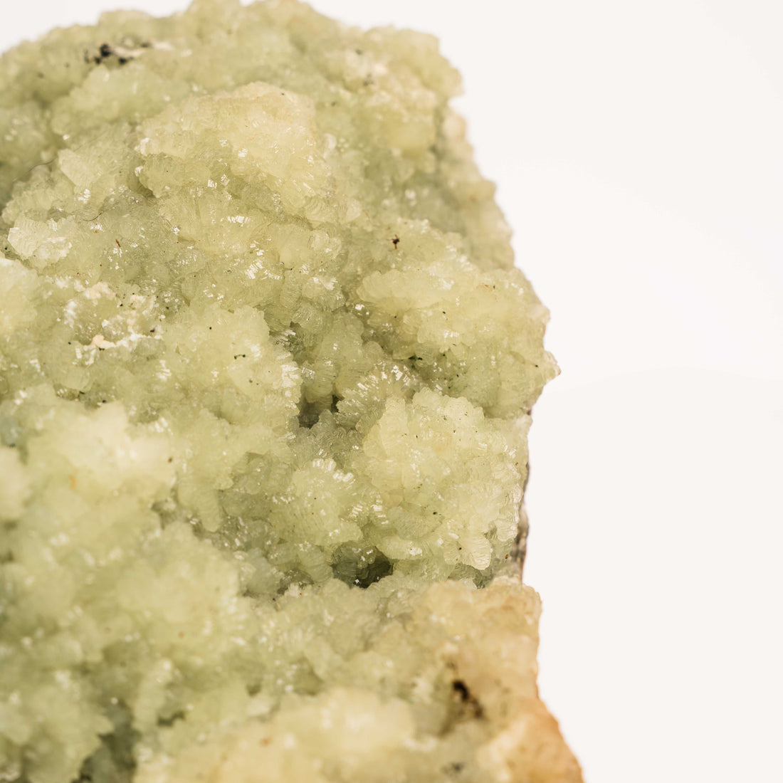 Prehnite with Epidote- Statement Piece