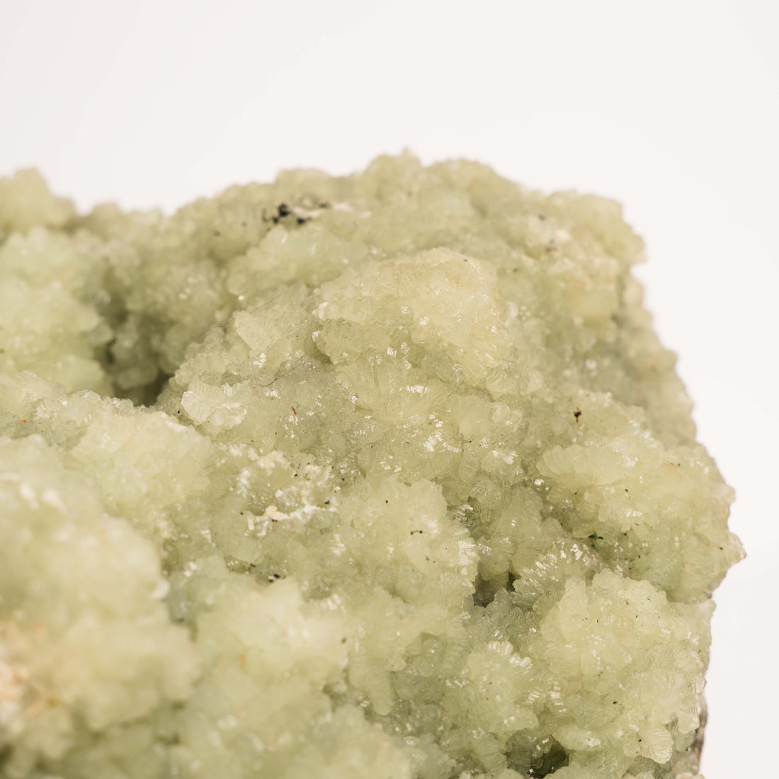 Prehnite with Epidote- Statement Piece