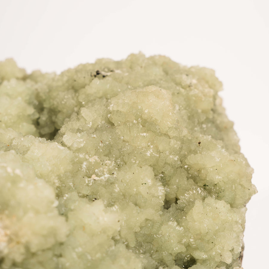 Prehnite with Epidote- Statement Piece