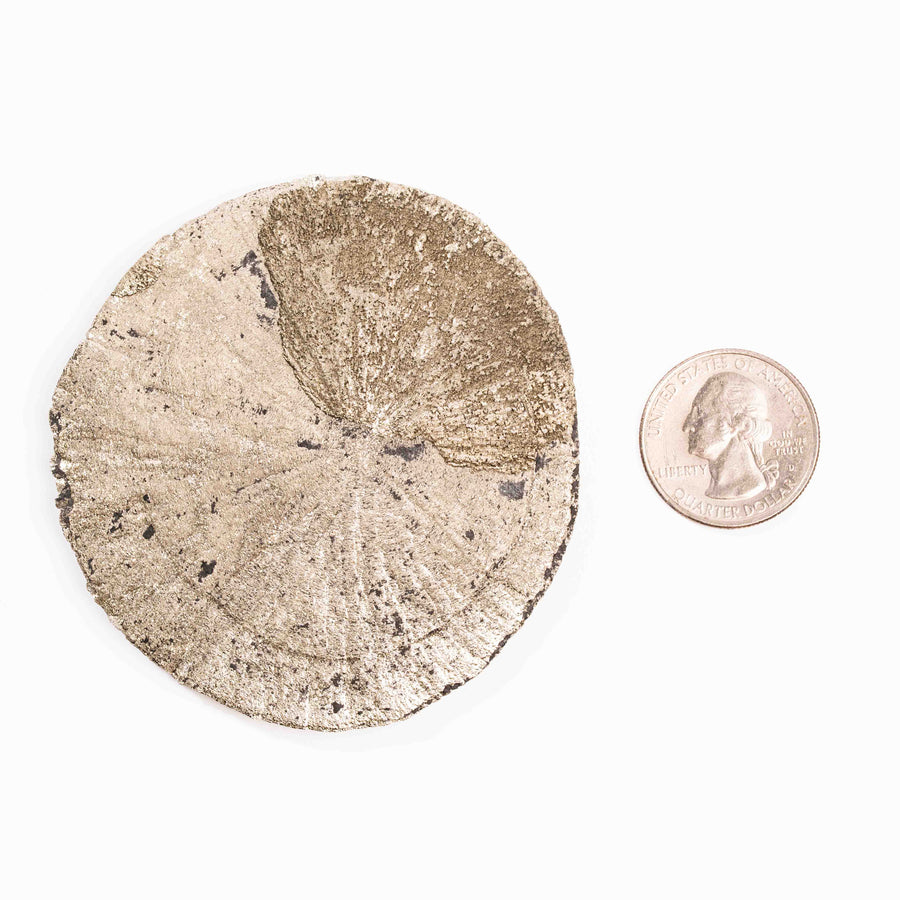 Pyrite - Sun